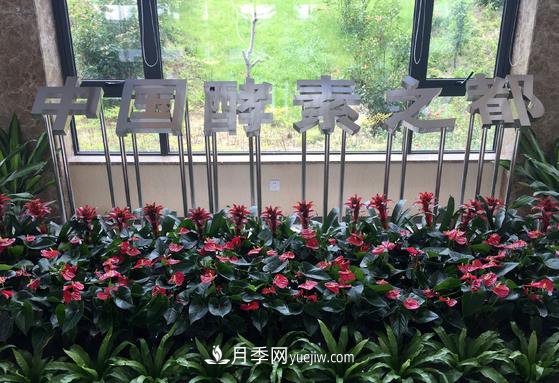 南召縣打造中國酵素之都 產(chǎn)品占全國市場(chǎng)三分之一(圖1)