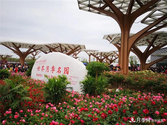 4月9日起，南陽(yáng)世界月季大觀(guān)園開(kāi)門(mén)迎客(圖2)
