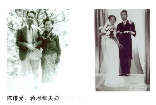 月季夫人蔣恩鈿，是她把月季花種到了人民大會(huì )堂(圖3)