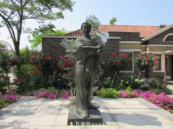 月季夫人蔣恩鈿，是她把月季花種到了人民大會(huì )堂(圖7)