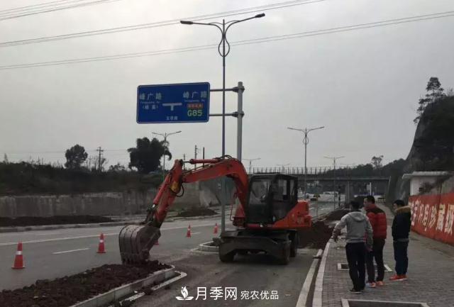 綠化工程苗木價(jià)格計算辦法(圖1)