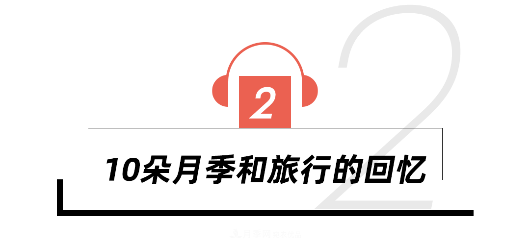 陳丹燕：不能旅行的日子，她開(kāi)始與月季對話(huà)(圖8)