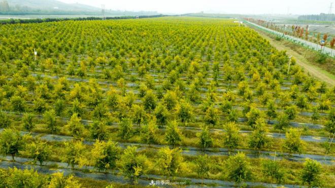 南水北調 秋來(lái)渠首 秋綠淅川(圖4) 南水北調 秋來(lái)渠首 秋綠淅川(圖4)