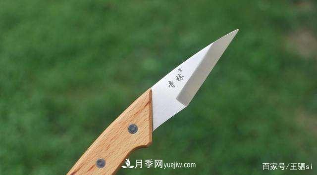 花卉栽培的六大基本工具，你準備好了嗎？(圖6)