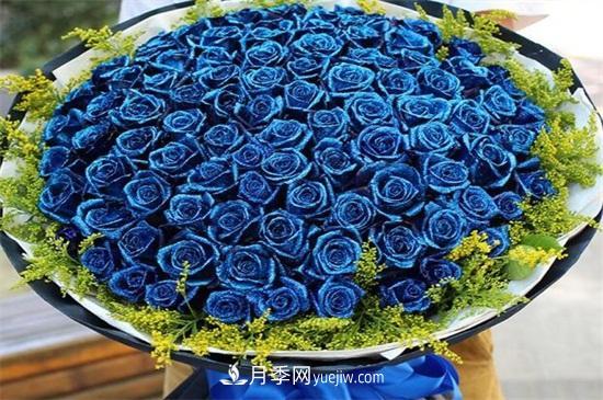玫瑰花語(yǔ)是什么？盤(pán)點(diǎn)五個(gè)顏色的玫瑰花語(yǔ)(圖2)