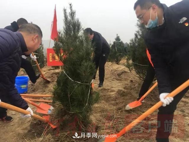 為冬日添新綠！南陽(yáng)市開(kāi)展千人義務(wù)植樹(shù)活動(dòng)(圖1)