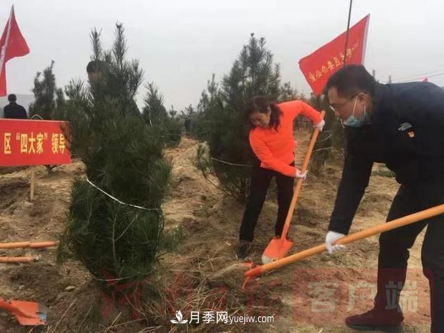 為冬日添新綠！南陽(yáng)市開(kāi)展千人義務(wù)植樹(shù)活動(dòng)(圖2)
