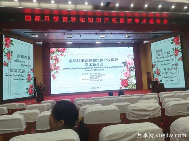國際月季育種和知識產(chǎn)權保護座談會(huì )在南陽(yáng)舉辦(圖1)