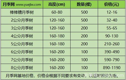 2024年不同規格月季樹(shù)多少錢(qián)一棵？樹(shù)狀月季價(jià)格表？(圖3)