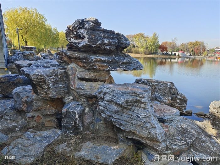 常見(jiàn)綠化的類(lèi)型和景觀(guān)植物配置(圖1)