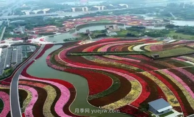 第十二屆南陽(yáng)月季花會(huì )4月29日開(kāi)幕，花事活動(dòng)提前報(圖1)