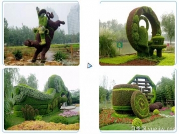 植物立體造型的幾種思路