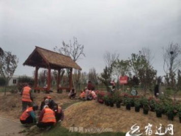 醉美泗陽(yáng)，月季花海，第十一屆中國月季展覽會(huì )4月28日開(kāi)幕