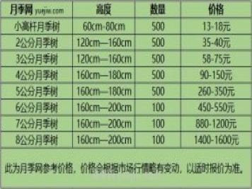 1-10公分月季樹(shù)價(jià)格是多少？樹(shù)狀月季5月報價(jià)單！