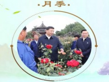“小康菜譜”上新了！“最強帶貨員”這次cue到南陽(yáng)月季