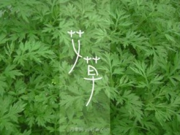 宛艾！南陽(yáng)艾草產(chǎn)業(yè)志在出圈，怎借東風(fēng)成就世界艾鄉？