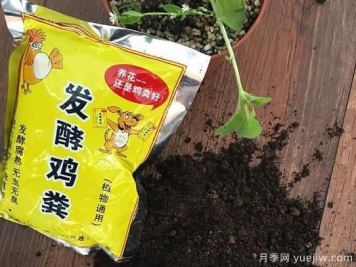 花卉綠植常用三大花肥分析，有機肥、無(wú)機肥、發(fā)酵各種糞