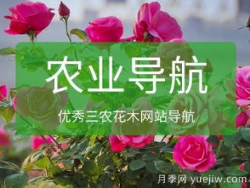 農業(yè)花木網(wǎng)址導航_十大農業(yè)網(wǎng)站