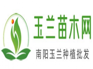 中國玉蘭苗木網(wǎng)_南陽(yáng)紅白黃廣玉蘭種植批發(fā)
