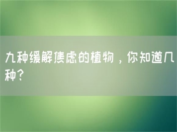 九種緩解焦慮的植物，你知道幾種？