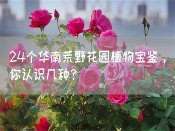 24個(gè)華南荒野花園植物寶鑒，你認識幾種？
