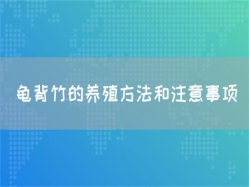 龜背竹的養殖方法和注意事項