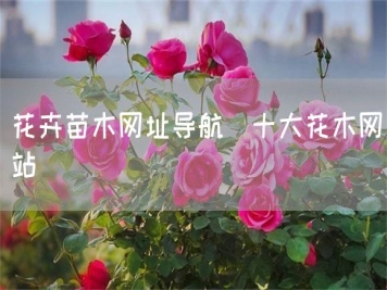 花卉苗木網(wǎng)址導航_十大花木網(wǎng)站
