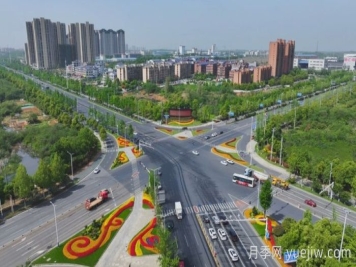 萬(wàn)株樹(shù)狀月季齊綻放，扮靚寧鄉城市新風(fēng)景
