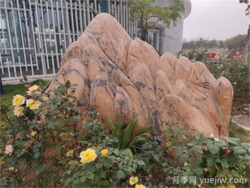 庭院中景觀(guān)置石怎么選？