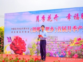 邯鄲月季：肥鄉區首屆月季產(chǎn)業(yè)高質(zhì)量發(fā)展大會(huì )舉辦