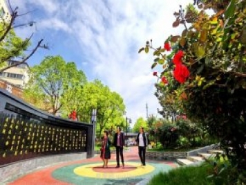 南陽(yáng)臥龍崗街道，廢墟變游園，月季景優(yōu)美