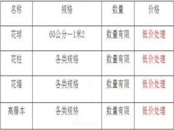 清地在即，部分造型月季品類(lèi)月季價(jià)格短時(shí)間走低