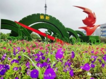 上海松江這里的花壇、花境“上新”啦！特色景觀(guān)升級！