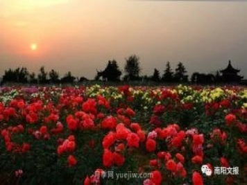 南陽(yáng)自然條件卓越，產(chǎn)業(yè)發(fā)展迅速，獨享“世界月季名城”稱(chēng)號