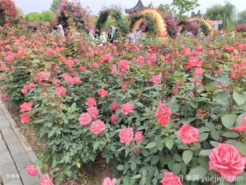 景區公園網(wǎng)址導航_十大公園網(wǎng)站
