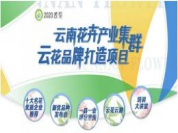 云南打造特色產(chǎn)業(yè)集群 開(kāi)啟花卉世界合作之窗