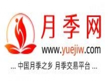 月季網(wǎng)的官網(wǎng)地址是什么？