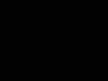 白摩絲月季