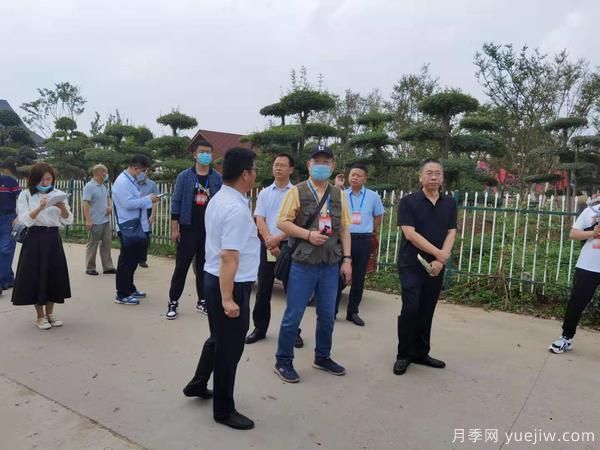 暢游中國花木之鄉，兩岸媒體人見(jiàn)證鄢陵縣鄉村振興之路(圖1)