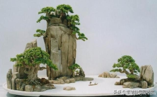 什么是山水盆景？山水盆景的形式有哪些？(圖2)