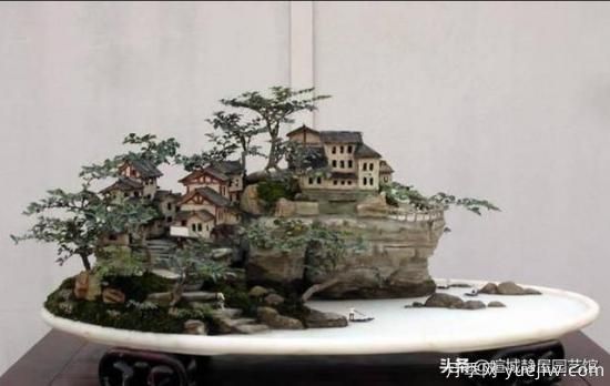 什么是山水盆景？山水盆景的形式有哪些？(圖1)
