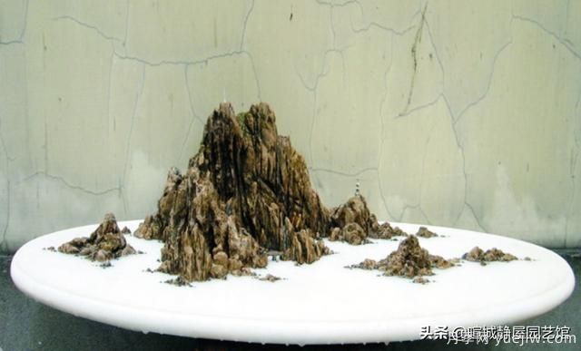 什么是山水盆景？山水盆景的形式有哪些？(圖3)