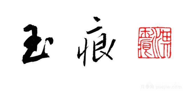 月季大藤本和小藤本都有哪些品種？栽種方式有沒(méi)有區別？(圖4)