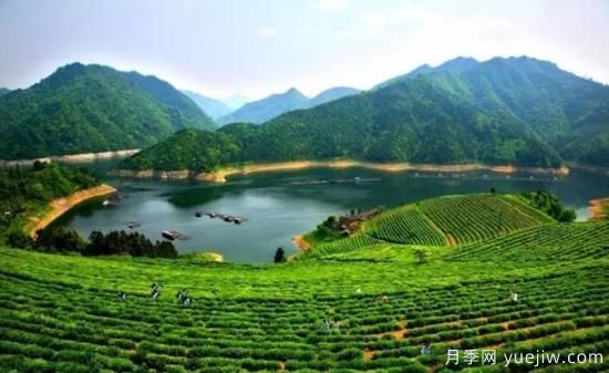 河南人口**大縣是誰(shuí)？鄧州常住人口超124萬(wàn)人，還是固始縣(圖2)