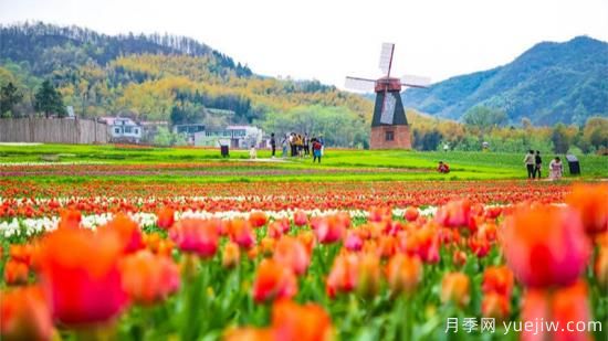 河南人口**大縣是誰(shuí)？鄧州常住人口超124萬(wàn)人，還是固始縣(圖1)