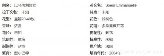 推薦高顏值且好養的10個(gè)藤本月季，看一眼就愛(ài)上(圖8)