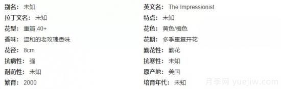 推薦高顏值且好養的10個(gè)藤本月季，看一眼就愛(ài)上(圖6)