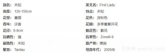 推薦高顏值且好養的10個(gè)藤本月季，看一眼就愛(ài)上(圖12)