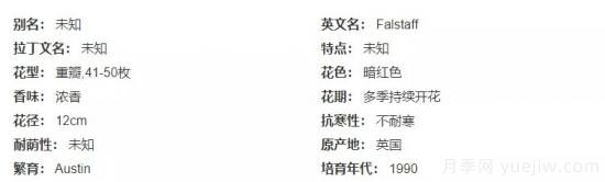 推薦高顏值且好養的10個(gè)藤本月季，看一眼就愛(ài)上(圖16)