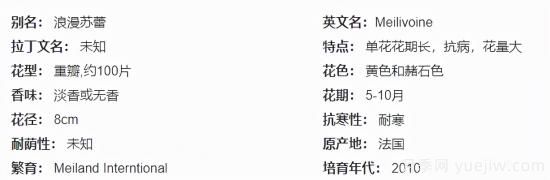 推薦高顏值且好養的10個(gè)藤本月季，看一眼就愛(ài)上(圖19)